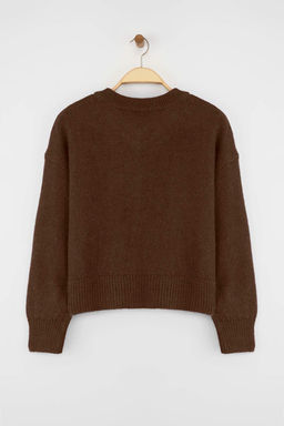 More Sustainable Kahverengi Alpaka Yunu Kar?s?ml? Premium/Ozel Iplik Triko H?rka | TWOAW26HI00000