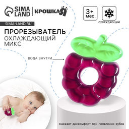 Прорезыватель для зубов охлаждающий с водой «Ежевика», МИКС