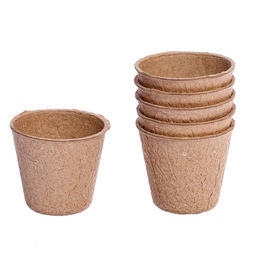 Набор для опытов «Моя мини-ферма», выращивание растений, в космосе