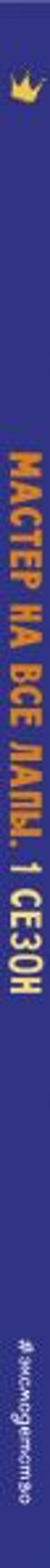 Кот Басик. Мастер на все лапы. 1 сезон (комикс)