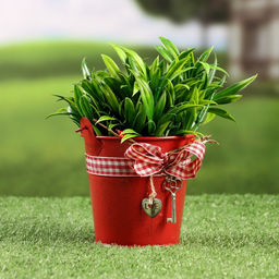 Кашпо «Ведерко Рустад», 10×10×9 см, красное