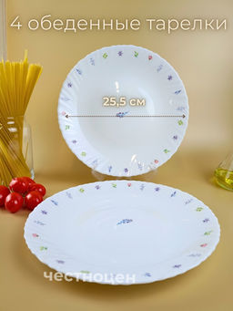 Набор столовой посуды на 4 перс. с рисунком 12предм. OLS-DM-27
