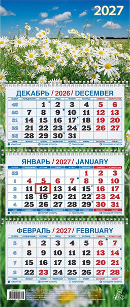 Календарь квартальный настен. 3-х блочный, 195*465мм, 2027г. "Ромашки в поле" (КМ13-27)