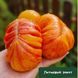 Литиевый Закат