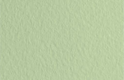 Fabriano Бумага для пастели Tiziano 160 г/м2 A1+ 70 х 100 см лист 10 л. Verduzzo/Светло-зеленый 52811011