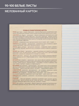 Тетрадь предметная Неон. Литература, 48 листов в линейку, со справочными материалами, блок офсет, обложка мелованный картон, УФ-лак - Calligrata фото 5