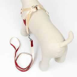 Комплект с мягкой шлейкой Клетки, размер M, поводок, 120 х 1,5 см, ОГ 34-66 см, красный - Пижон фото 3