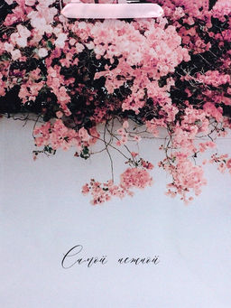 Цена за 2 шт. Пакет подарочный вертикальный Табебуйя розовая, M 25.5?30?9 см