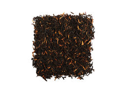 Ассам Диком STGFOP1