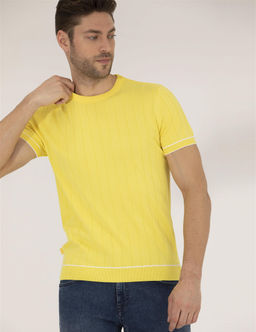 A__k Sar_ Slim Fit Bisiklet Yaka Triko Ti__rt - Pierre cardin фото 3
