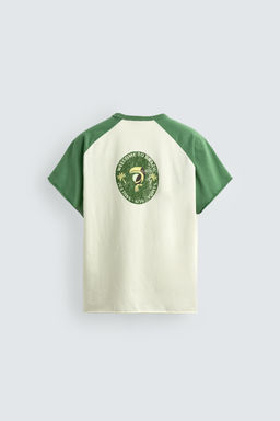 CAMISETA COLOR BLOCK ESTAMPADO BRASIL / Verde / Crudo