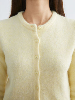 Bisiklet Yaka Y?n Kar???ml? Kad?n Triko H?rka