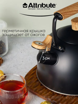 Чайник BLACKWOOD 2.5л со свистком