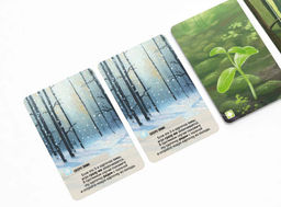 Смешанный лес