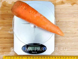 Морковь Боливар - Партнер фото 5