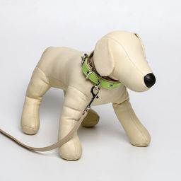 Комплект ошейник (58х2.5 см) и поводок (130х1.4 см) из экокожи, салатовый с бежевым - Пушистое счастье фото 7