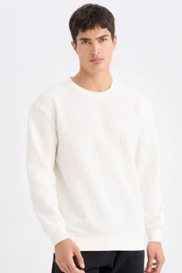 Regular Fit Bisiklet Yaka Jakarl? Sweatshirt