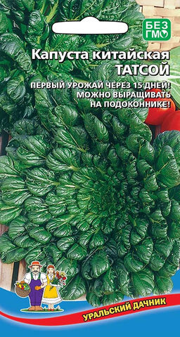 Капуста китайская ТАТСОЙ  Первый урожай через 15 дней! Можно выращивать на балконе!