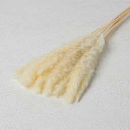 Сухоцвет «Камыш», набор 15 шт., бежевый