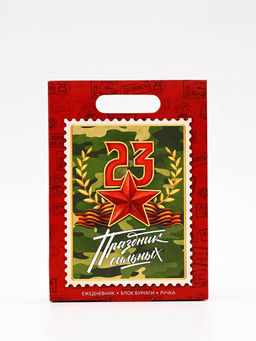 Подарочный набор, ежедневник А5, 80 л, блок бумаги, ручка «С 23 февраля»