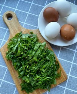 Щавель ЛИМОННЫЙ - Уральский дачник фото 10