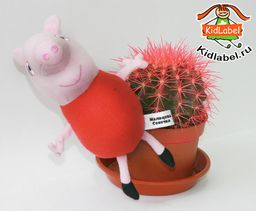 Пришивные этикетки для детской одежды САТИН 40 шт - Kidlabel фото 6
