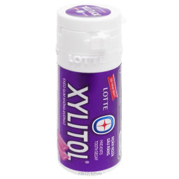Жевательная резинка со вкусом мяты и голубики Xylitol Lotte (мини-банка), Вьетнам, 26,1 г