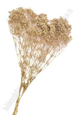 Сухоцветы декоративные 70 см "Гипсофила" (SF-2838) бежевый