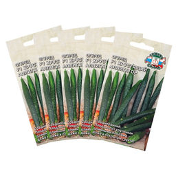 Семена Огурец «Хрустящий аллигатор », набор 5 шт., «Рецепты дедушки Никиты»