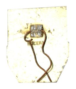 Значок Дружинник