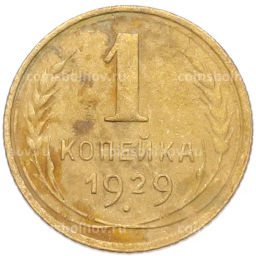 Монета 1 копейка 1929 года