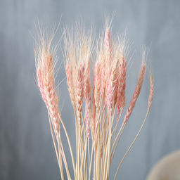 Сухой колос пшеницы, набор 50 шт., цвет розовый - Simaland фото 2