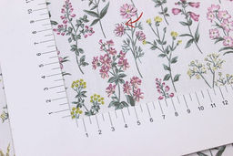 Сатин Ароматный лужок цв.белый, СОРТ2, ш.1.6м, хлопок-100%, 110гр/м.кв - Купава фото 6