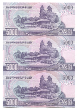 Банкнота 5000 вон 2006 года Северная Корея  Лист из трех банкнот