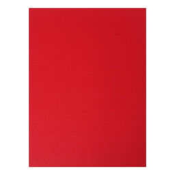 Папка Личное дело, бумвинил, гребешки/сутаж, без бумаги, красная (вместимость до 300 листов) - Calligrata фото 4