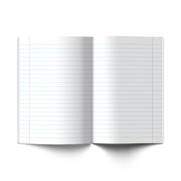 Светоч 12ТСК5_1_3_2 Тетрадь ученическая школьная Классная A5 12 л. на скобе 65 г/кв.м , белизна 100 % 25 шт. линия 000285 Зеленая  фото 4