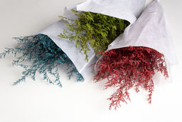 Сухоцветы декоративные (SF-2836) светло-сиреневый - Больше подарков фото 3