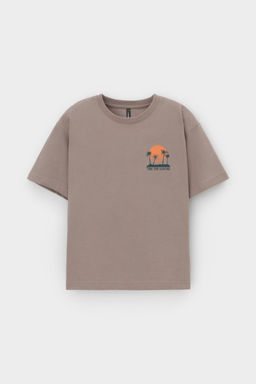 КР 302732-1/коричневый к556 фуфайка (футболка) для мал