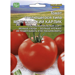 Томат Монгольский карлик 20шт. (Уральский дачник)