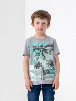 CRB wear/CSJB 63115-11-320 Футболка для мальчика,светло-серый меланж/Ex.Cherubino