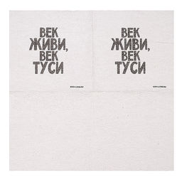 Салфетки бумажные однослойные «Век живи, век туси» 24×24 см, набор 20 шт.