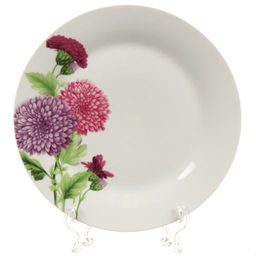 Тарелка обеденная 23см Астра DANIKS (388839) (48/12)