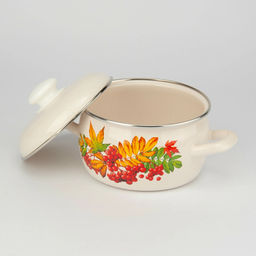 ЭМ_Кастрюля 5,0л сф. "Рябина" ст/кр арт С-4216АП2/4Жм (092409)