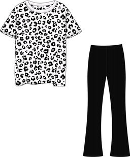 футболка+легинсы 2ДФР5820023н