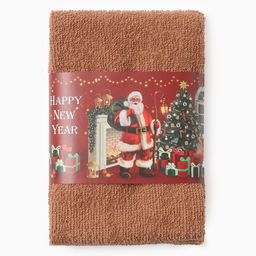 Набор махровых полотенец Этель. Санта, 30?30 см - 3 шт., хлопок 100%