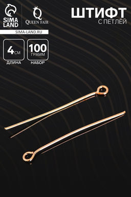 Штифт с петлёй СМ-1087, 4 см, (набор 100 г), цвет золото