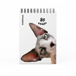 Цена за 4 шт. Блокнот на спирали ErichKrause Котики, А6, 80 листов, клетка_MIX-PACK  фото 5
