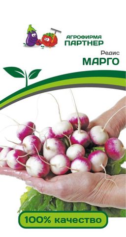 Редис Марго