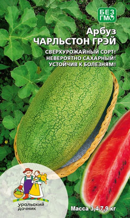 Арбуз ЧАРЛЬСТОН ГРЭЙ Сверхурожайный сорт! Невероятно сахарный! Устойчив к болезням!