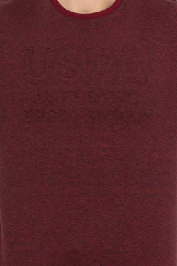 U. S. Polo Assn / Мужской свитшот вишневого цвета - U.s. polo assn фото 12
